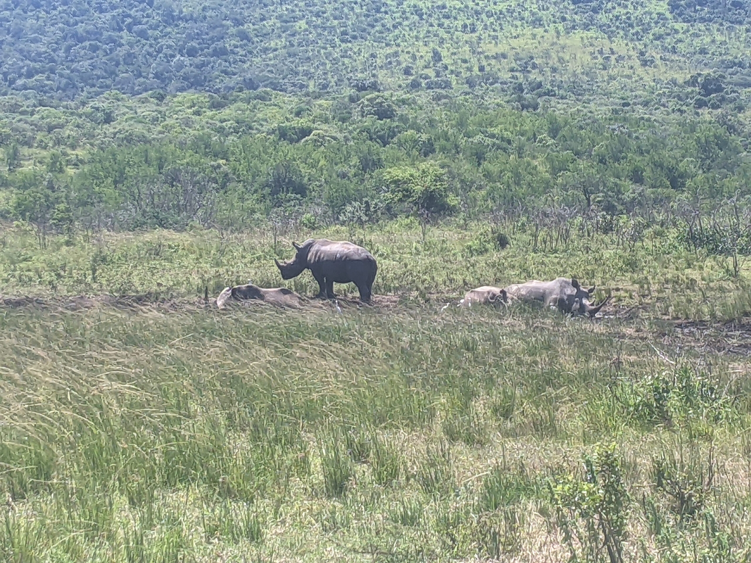 Photo Log, Imfolozi and the wild coast