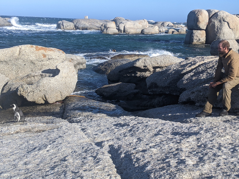 Ship Log #14: Simonstown to Luderitz Namibia