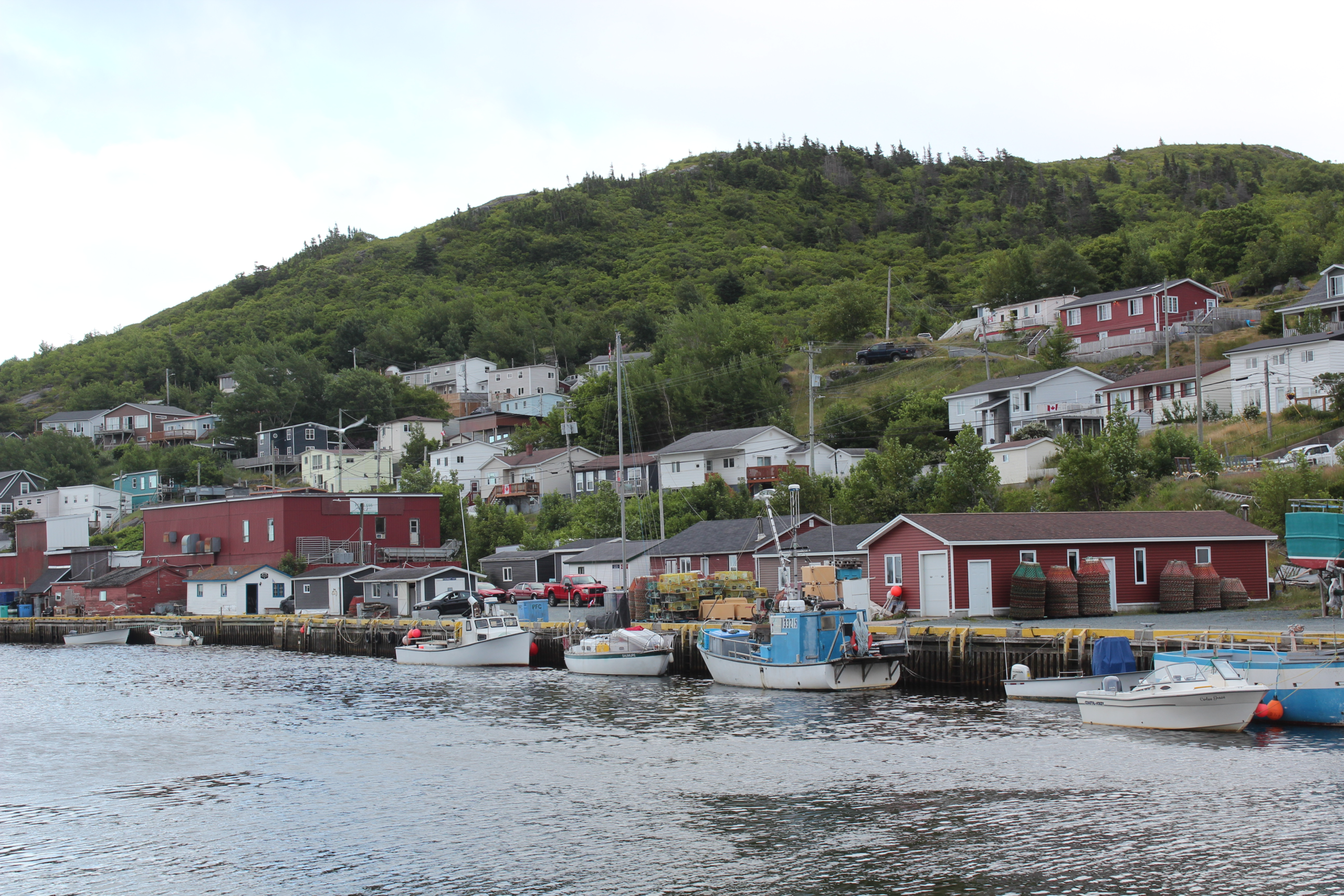 Ship Log #24 Back to Petty Harbour